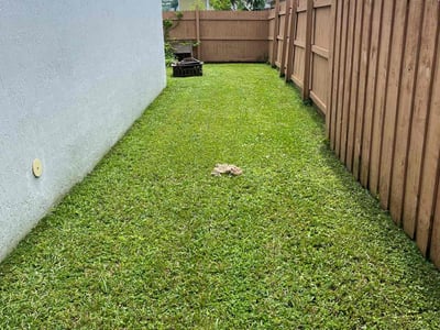 Lawn Care service in Homestead, 33030