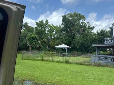 Lawn Care service in Brazoria, 77422