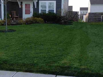 Lawn Care service in Ashville, 43103