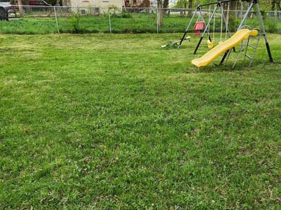 Lawn Care service in Lake Elsinore, 92530