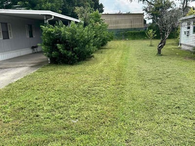 Lawn Care service in Santa Clarita, 91321