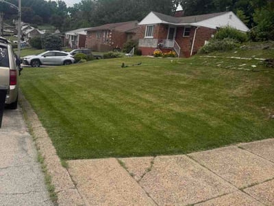 Lawn Care service in West Mifflin, 15122