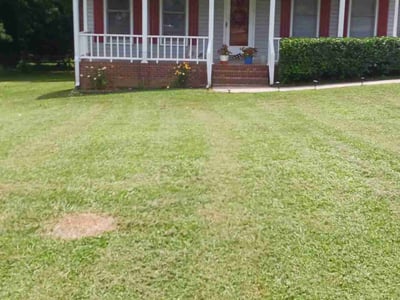 Lawn Care service in Lake Oswego, 97034
