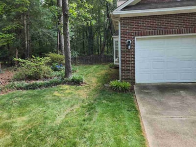 Lawn Care service in Kenly, 27542