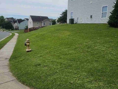 Lawn Care service in Mount Holly, 28120