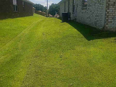 Lawn Care service in Southaven, 38671