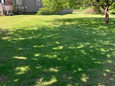 Lawn Care service in Taunton, 02780