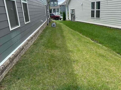 Lawn Care service in Spring Hill, 37174