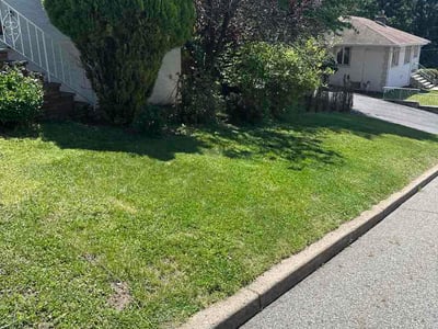 Lawn Care service in Woodbridge, 07095