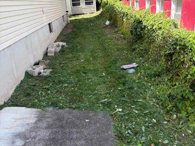 Lawn Care service in Woodbridge, 07095