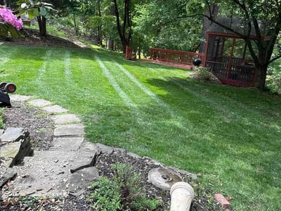 Lawn Care service in Pikesville, 21208