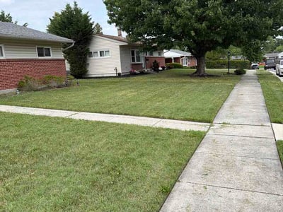 Lawn Care service in Pikesville, 21208