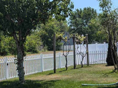 Lawn Care service in Tuckerton, 08087