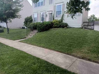 Lawn Care service in Essex, 21221
