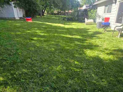 Lawn Care service in Norwood, 45212