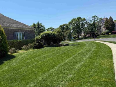 Lawn Care service in North Brunswick, 08902