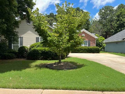 Lawn Care service in Fairfield County, 06883