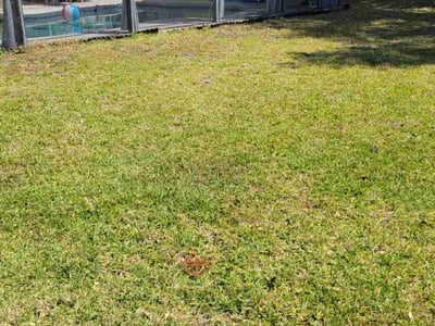 Lawn Care service in Fairfield County, 06883