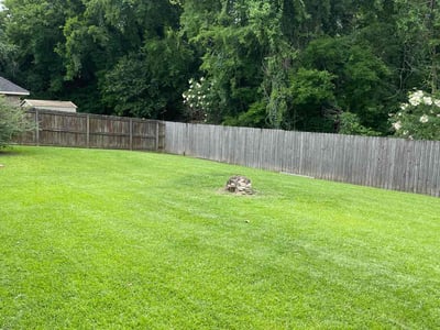 Lawn Care service in Plaquemine, 70764