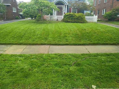 Lawn Care service in Beachwood, 44122