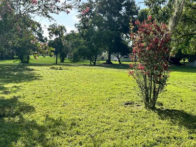 Lawn Care service in Cambridge, 02138