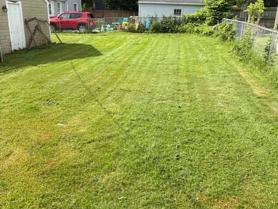 Lawn Care service in Henrietta, 14467