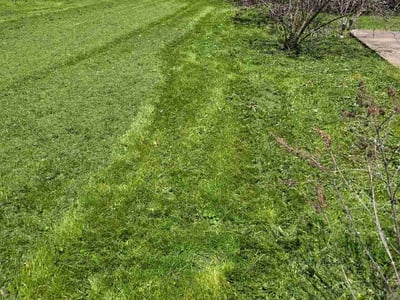 Lawn Care service in Henrietta, 14467