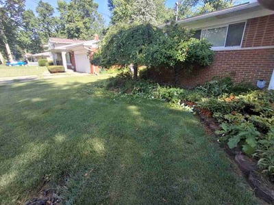 Lawn Care service in Flint, 48502