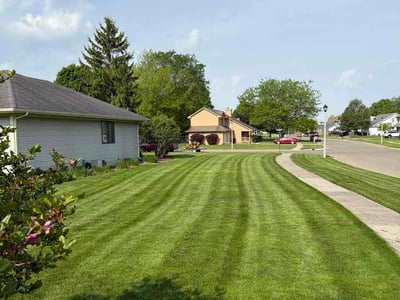 Lawn Care service in Dewitt, 48820
