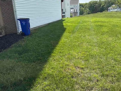 Lawn Care service in Havre De Grace, 21078