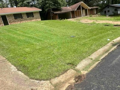 Lawn Care service in Jackson, 39201