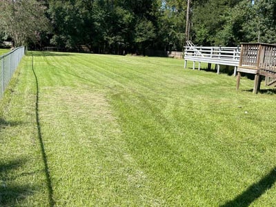 Lawn Care service in Denham Springs, 70726