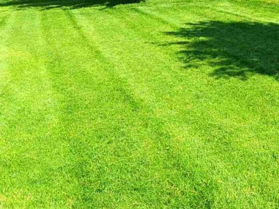 Lawn Care service in Big Lake, 55309