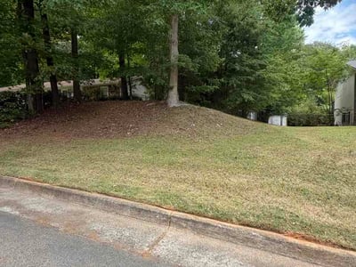 Lawn Care service in Chatsworth, 30705