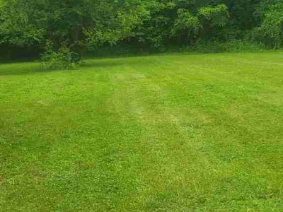 Lawn Care service in Sevierville, 37862