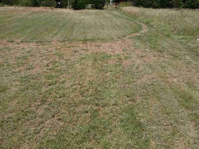 Lawn Care service in Wichita Falls, 76301