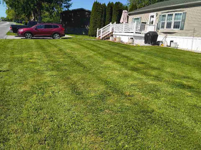 Lawn Care service in Johnstown, 15901