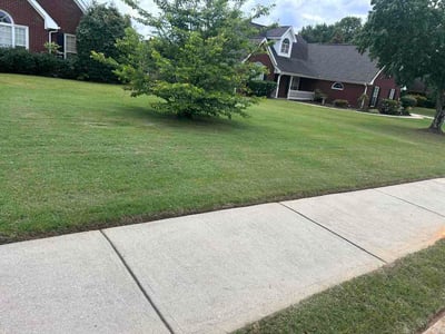 Lawn Care service in Corbin, 40701