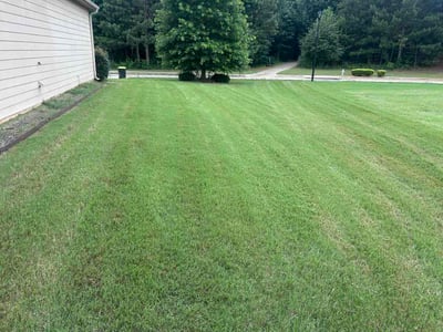 Lawn Care service in Corbin, 40701