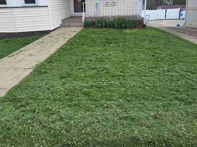 Lawn Care service in Weirton, 26062