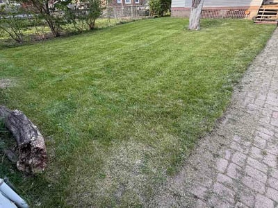 Lawn Care service in Dyer, 46311