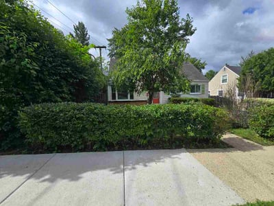 Lawn Care service in Arlington Heights, 60004