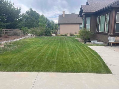 Lawn Care service in Colorado Springs, 80903