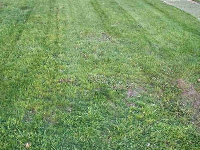 Lawn Care service in Lake In The Hills, 60156