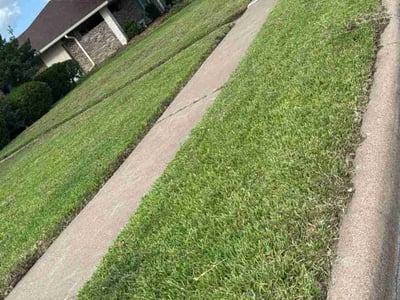 Lawn Care service in Carmichael, 95608