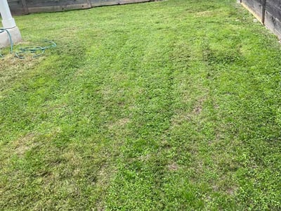 Lawn Care service in Venice, 90291