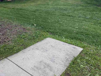 Lawn Care service in Mchenry, 60050