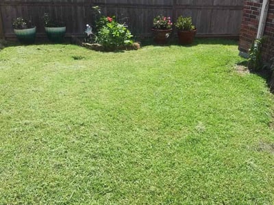 Lawn Care service in Redondo Beach, 90277