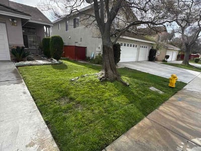 Lawn Care service in Yucca Valley, 92284