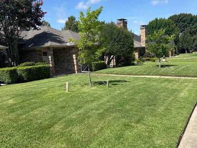 Lawn Care service in Lakeside, 92040
